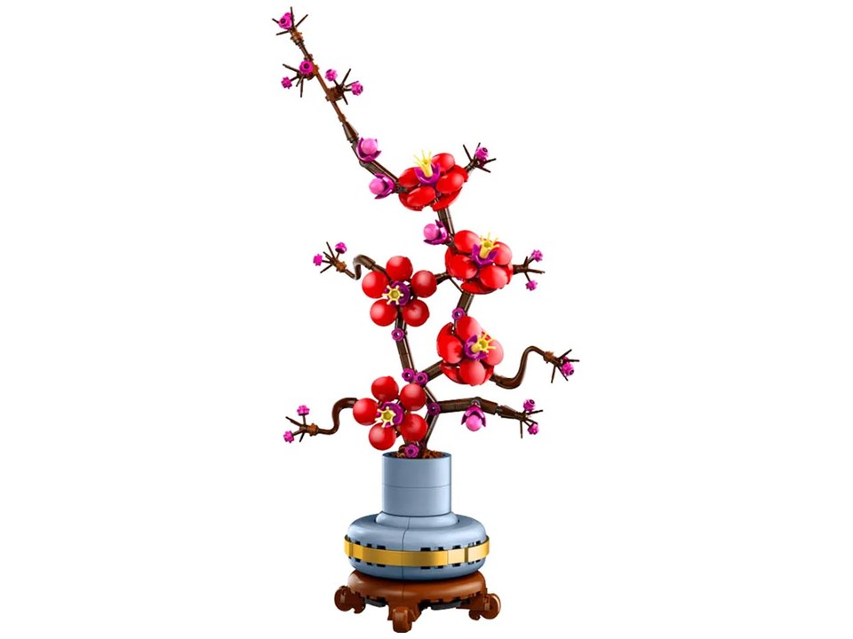 Botanical Collection